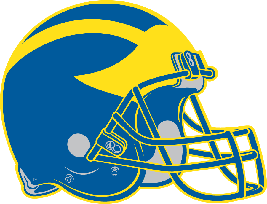 Delaware Blue Hens 1999-2008 Helmet Logo diy DTF decal sticker